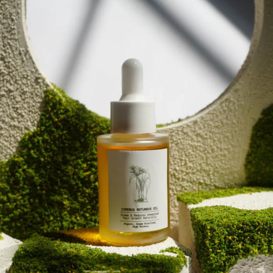 Comment Choisir son Huile au Cyperus Rotundus : Guide Complet